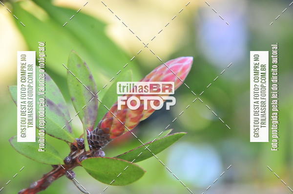 Buy your photos of the eventCross Duathon Soul on Fotop