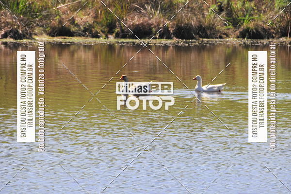 Buy your photos of the eventCross Duathon Soul on Fotop