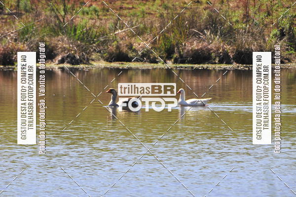 Buy your photos of the eventCross Duathon Soul on Fotop