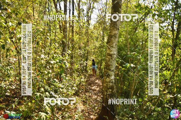 Buy your photos of the eventOut Run Trail on Fotop