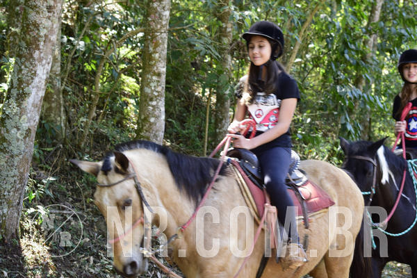 Buy your photos of the eventNR Cl�ssico - 26 A 28/08/19 on Fotop