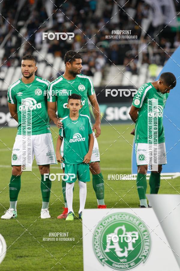 Acquista le foto dell'eventoBotafogo x Chapecoense - Nilton Santos - 26/08/2019 in Fotop
