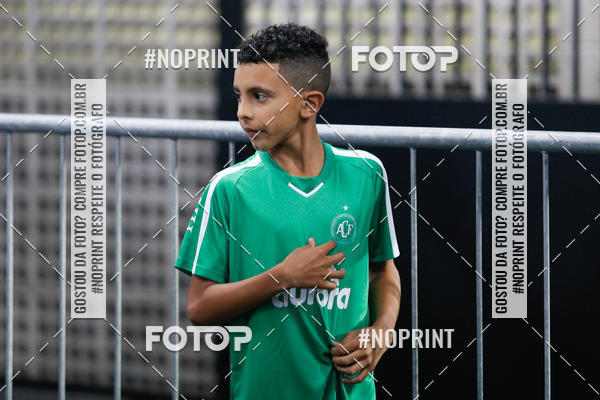 Acquista le foto dell'eventoBotafogo x Chapecoense - Nilton Santos - 26/08/2019 in Fotop