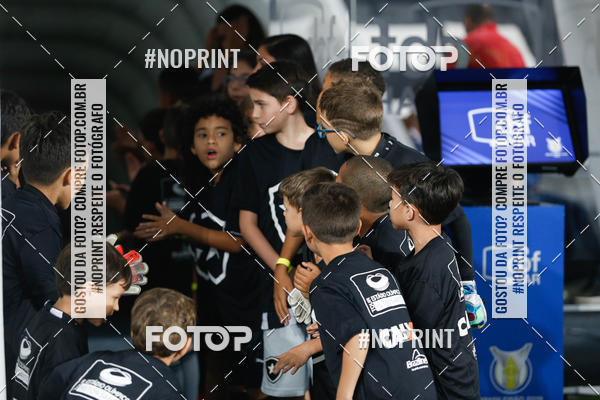 Compra tus fotos del eventoBotafogo x Chapecoense - Nilton Santos - 26/08/2019 En Fotop