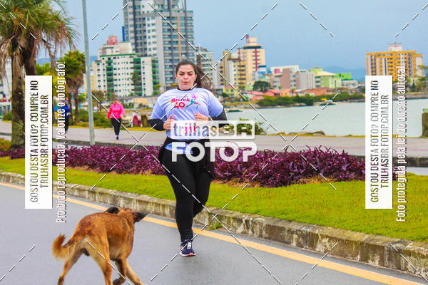 Buy your photos of the eventCorrida Bistek 40 anos on Fotop