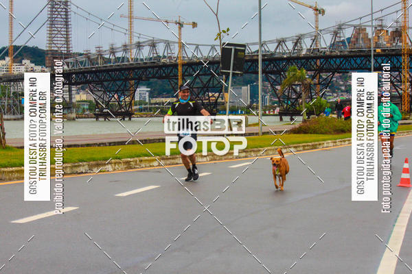 Buy your photos of the eventCorrida Bistek 40 anos on Fotop