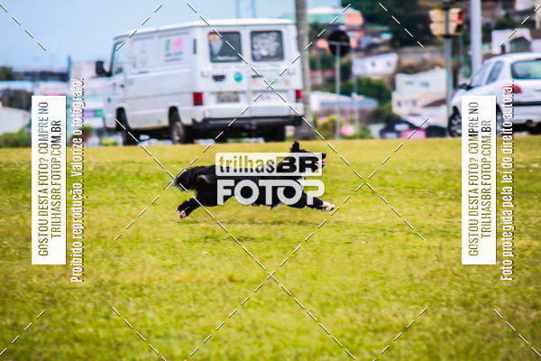 Buy your photos of the eventCorrida Bistek 40 anos on Fotop