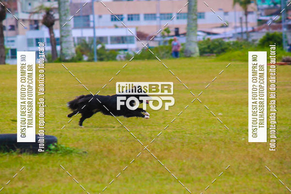 Buy your photos of the eventCorrida Bistek 40 anos on Fotop