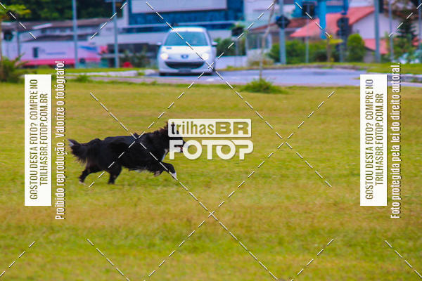 Buy your photos of the eventCorrida Bistek 40 anos on Fotop