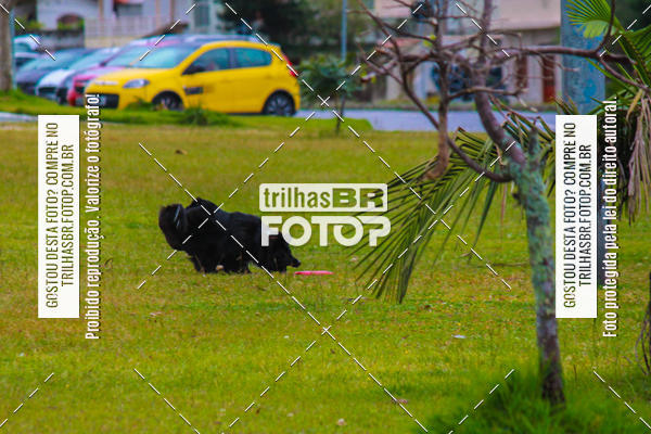 Buy your photos of the eventCorrida Bistek 40 anos on Fotop