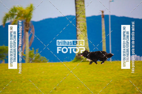 Buy your photos of the eventCorrida Bistek 40 anos on Fotop