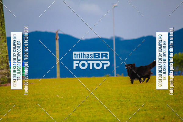 Buy your photos of the eventCorrida Bistek 40 anos on Fotop
