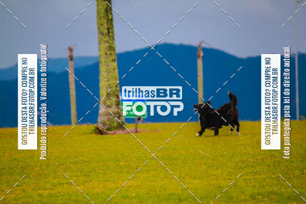 Buy your photos of the eventCorrida Bistek 40 anos on Fotop