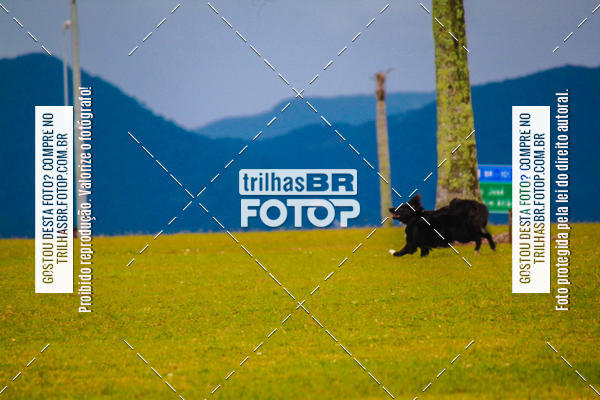 Buy your photos of the eventCorrida Bistek 40 anos on Fotop
