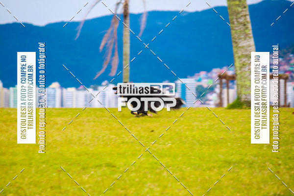 Buy your photos of the eventCorrida Bistek 40 anos on Fotop