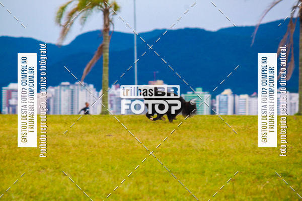Buy your photos of the eventCorrida Bistek 40 anos on Fotop