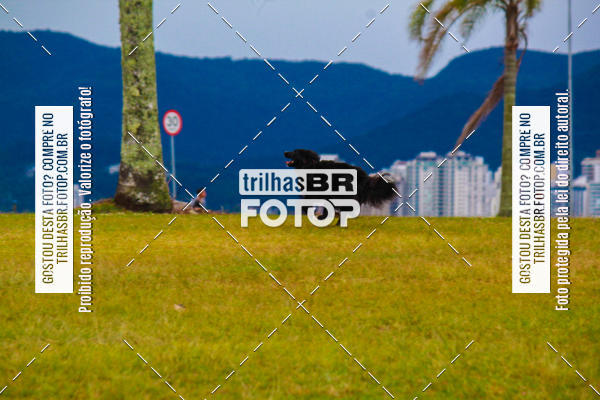 Buy your photos of the eventCorrida Bistek 40 anos on Fotop