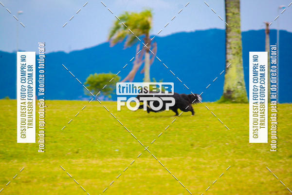 Buy your photos of the eventCorrida Bistek 40 anos on Fotop