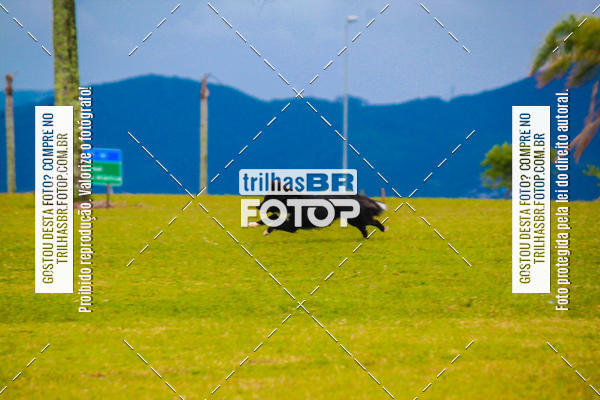 Buy your photos of the eventCorrida Bistek 40 anos on Fotop