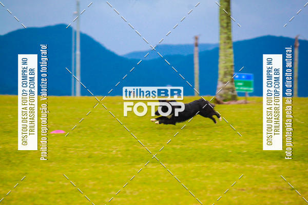 Buy your photos of the eventCorrida Bistek 40 anos on Fotop