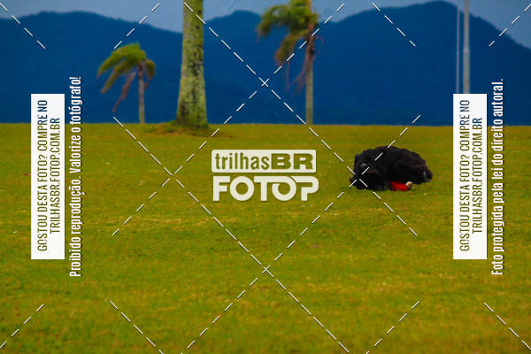 Buy your photos of the eventCorrida Bistek 40 anos on Fotop