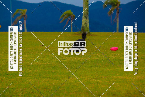 Buy your photos of the eventCorrida Bistek 40 anos on Fotop