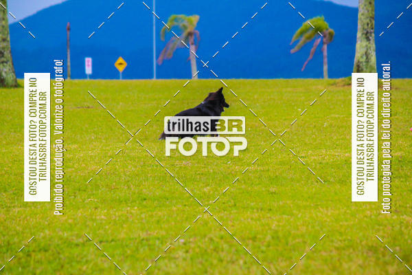 Buy your photos of the eventCorrida Bistek 40 anos on Fotop