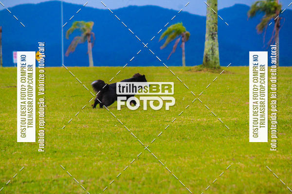 Buy your photos of the eventCorrida Bistek 40 anos on Fotop