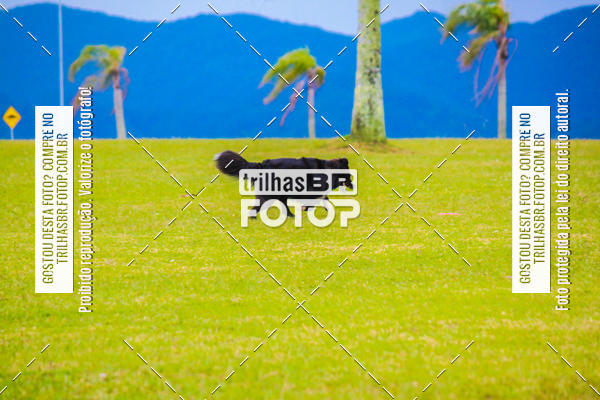 Buy your photos of the eventCorrida Bistek 40 anos on Fotop