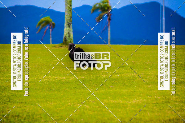 Buy your photos of the eventCorrida Bistek 40 anos on Fotop