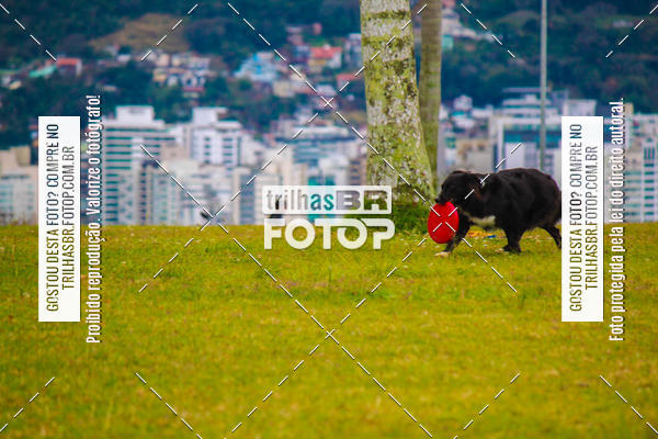 Buy your photos of the eventCorrida Bistek 40 anos on Fotop