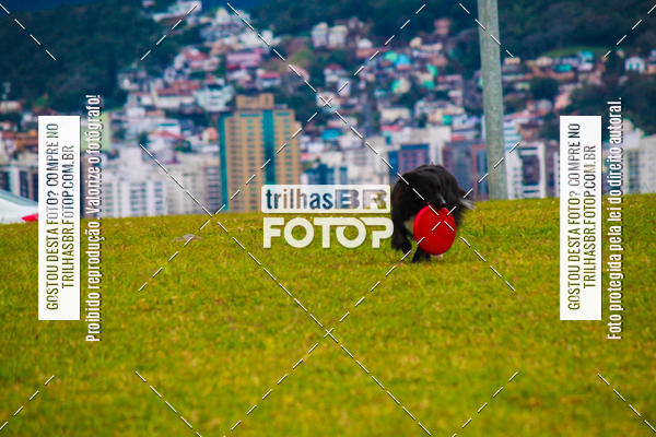 Buy your photos of the eventCorrida Bistek 40 anos on Fotop