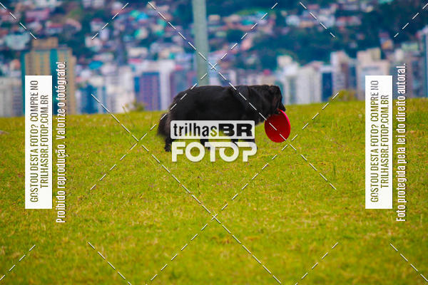 Buy your photos of the eventCorrida Bistek 40 anos on Fotop