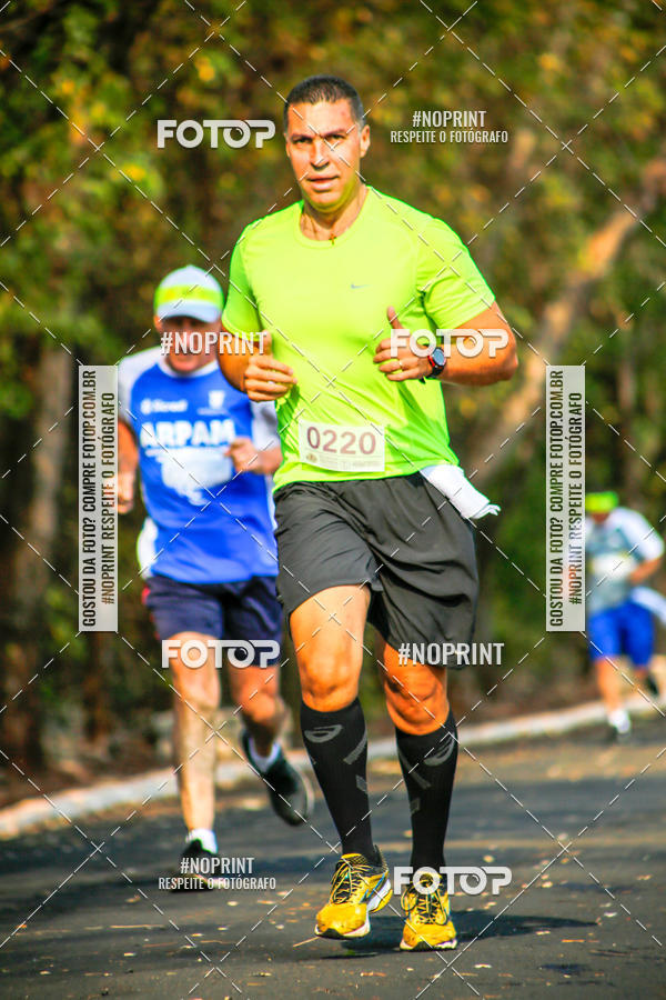Buy your photos of the event6 Corrida Solidria Moura Lacerda on Fotop