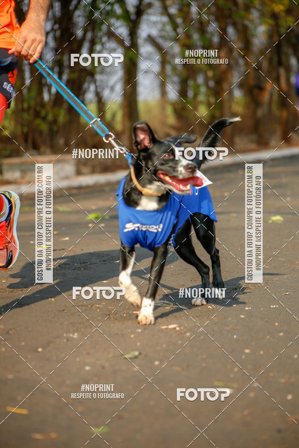 Buy your photos of the event6 Corrida Solidria Moura Lacerda on Fotop