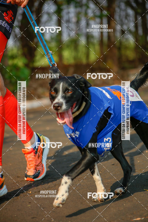 Buy your photos of the event6 Corrida Solidria Moura Lacerda on Fotop