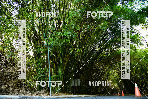 Buy your photos of the eventXXXVI CORRIDA DA ASA on Fotop