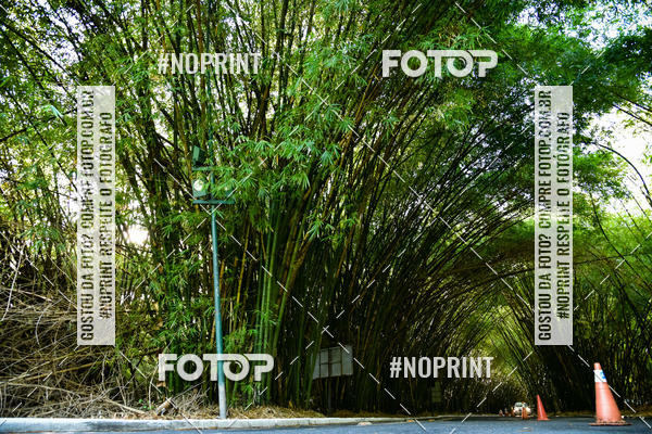 Buy your photos of the eventXXXVI CORRIDA DA ASA on Fotop