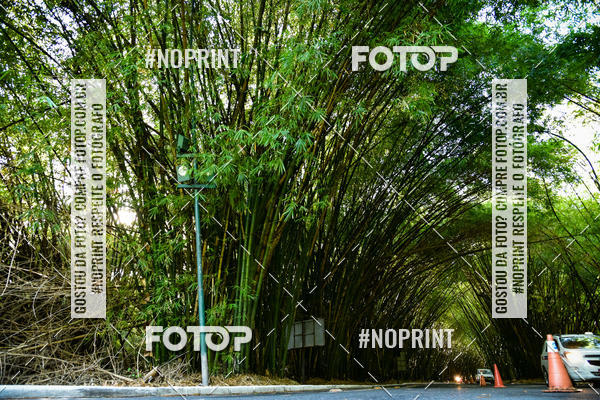 Buy your photos of the eventXXXVI CORRIDA DA ASA on Fotop