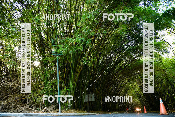 Buy your photos of the eventXXXVI CORRIDA DA ASA on Fotop