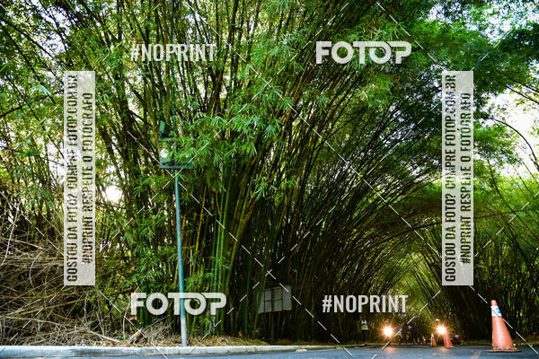 Buy your photos of the eventXXXVI CORRIDA DA ASA on Fotop