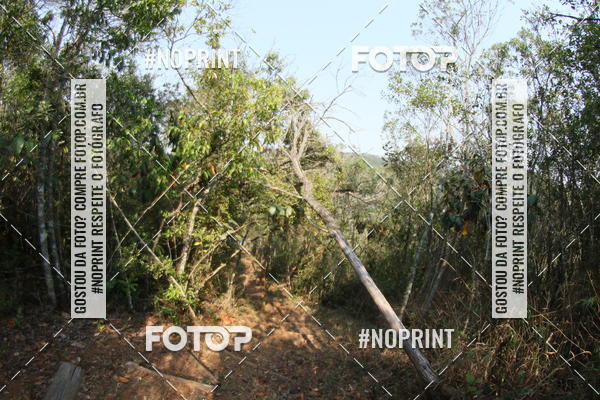 Buy your photos of the eventUltra do Itacolomi 2019 on Fotop