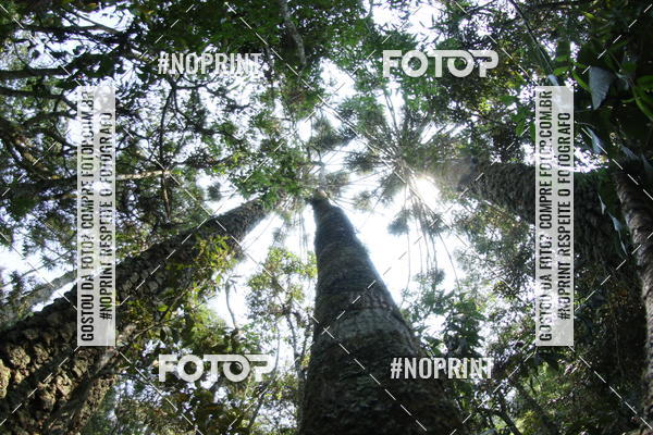 Buy your photos of the eventUltra do Itacolomi 2019 on Fotop