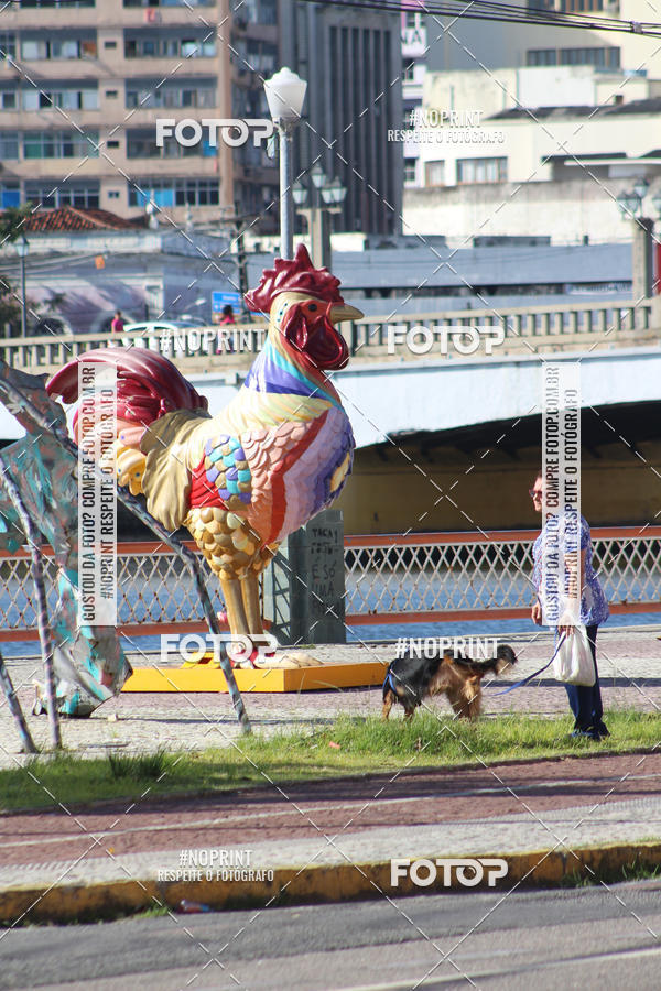 Buy your photos of the eventCorrida e Caminhada Outubro Rosa on Fotop