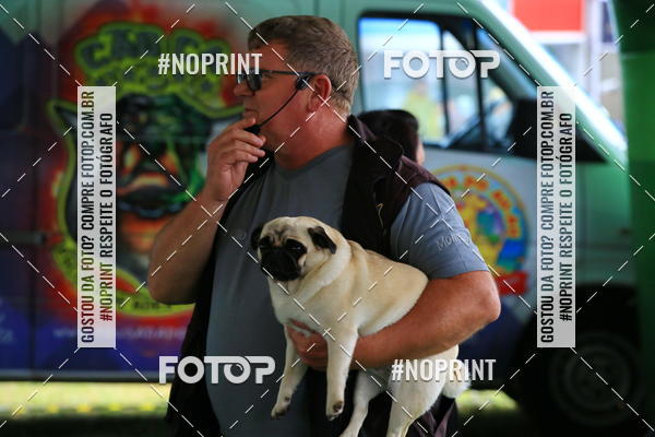Buy your photos of the eventExpocani Vai Tot Canicross on Fotop