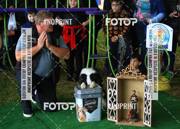 Compre as suas fotos do eventoExpocani Vai Tot Canicross no Fotop