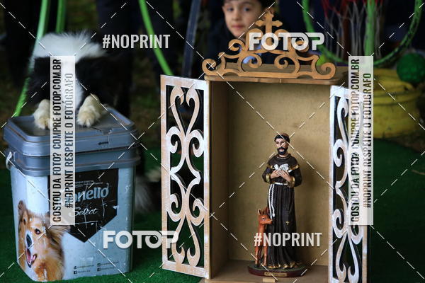 Compre as suas fotos do eventoExpocani Vai Tot Canicross no Fotop