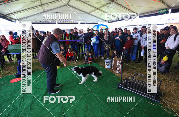 Compre as suas fotos do eventoExpocani Vai Tot Canicross no Fotop