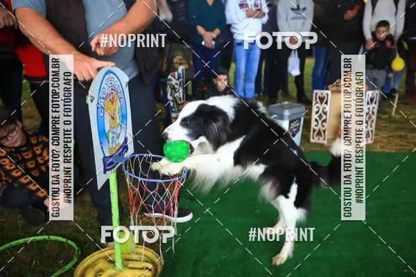 Compre as suas fotos do eventoExpocani Vai Tot Canicross no Fotop