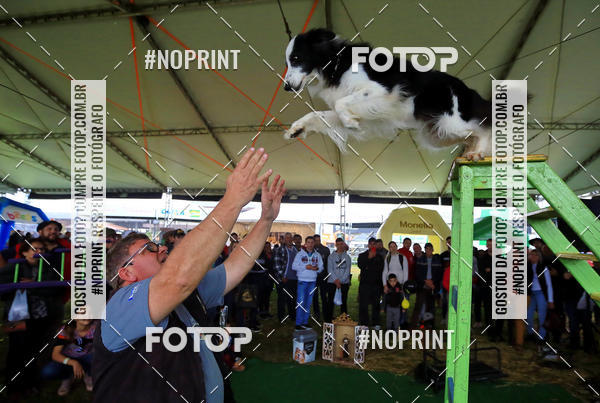 Compre as suas fotos do eventoExpocani Vai Tot Canicross no Fotop